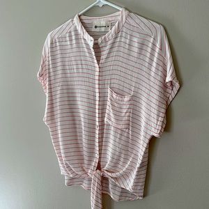 The Impeccable Pig blouse